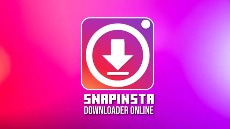 Snapinsta-Downloader-Online